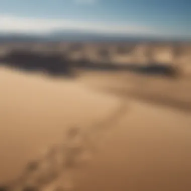 A panoramic view of Oregon's stunning sand dunes under a clear blue sky