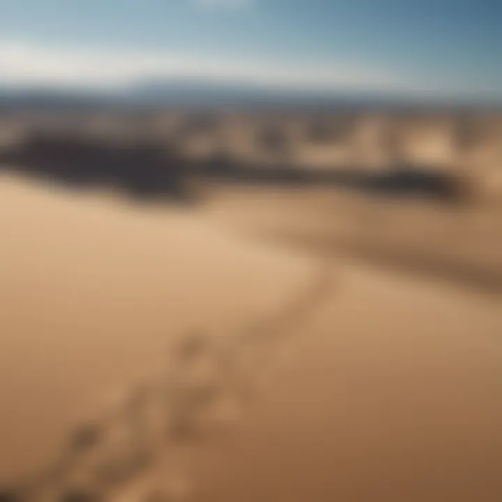 A panoramic view of Oregon's stunning sand dunes under a clear blue sky