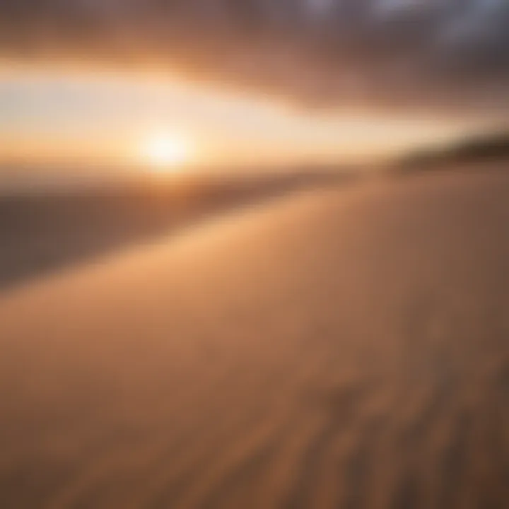 A serene sunset casting golden hues over Oregon's coastal dunes