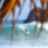 Exploring Sayulita, Mexico: A Comprehensive Surf Camp Experience Introduction