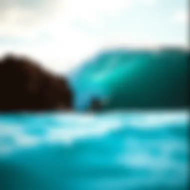 Notable Exploring Sayulita, Mexico: A Comprehensive Surf Camp Experience Notable Exploring Sayulita, Mexico: A Comprehensive Surf Camp Experience