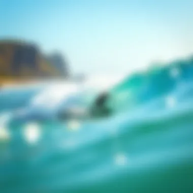 Surfing the Waves in Sayulita Surf enthusiasts enjoying the waves at Sayulita beach
