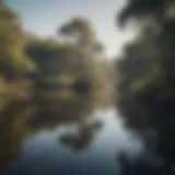 A serene Australian billabong reflecting the sky