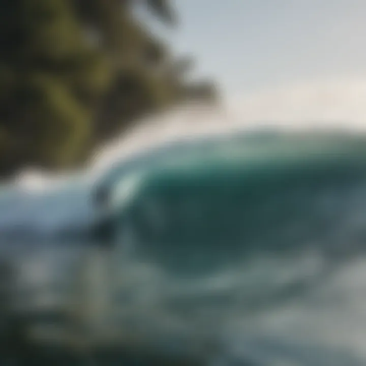 Surfers riding waves near a billabong