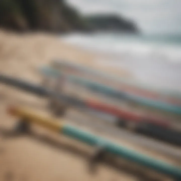 A selection of surf rods displayed on a beach