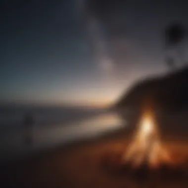 A beach bonfire under the starry night sky