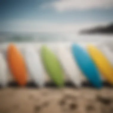 Variety of Fiberglass Skimboards Comparison of different fiberglass skimboards highlighting various shapes and sizes