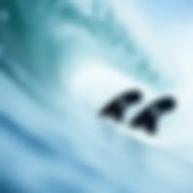 Notable Exploring the Best Quad Fins for Surfing Performance Notable Exploring the Best Quad Fins for Surfing Performance