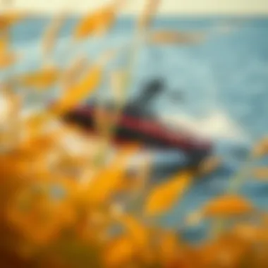 Notable Exploring the Best Value Wakesurf Boats