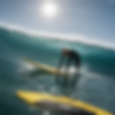 An ocean researcher studying marine biodiversity