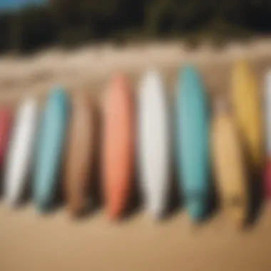 An array of surfboards displayed on a sandy beach, highlighting diversity in surfboard designs.