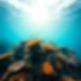 A vibrant coral reef bustling with marine life