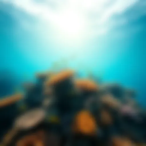 A vibrant coral reef bustling with marine life