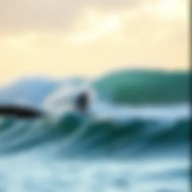 Coastal Environment and Surf Culture Coastal environment showcasing natural beauty and surf culture