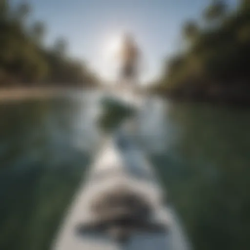 GoPro mounted on a paddleboard showcasing scenic water views