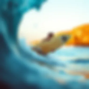Exploring the Influence of Mark Gonzales: His Book and the Surfing Culture Summary