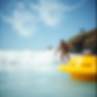 Exploring the Intersection of Surfing and Technology: The Role of Google Maps in the Surfing Community Summary Exploring the Intersection of Surfing and Technology: The Role of Google Maps in the Surfing Community Summary