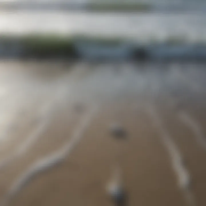 A serene beach scene showing tide patterns aligned with lunar cycles