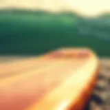 Exploring the Multifaceted World of Surfboards Introduction