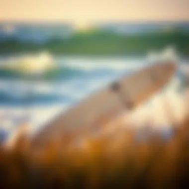 Exploring the Multifaceted World of Surfboards Summary Exploring the Multifaceted World of Surfboards Summary