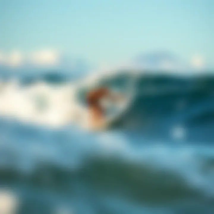 A surfer carving through the waves in a picturesque setting