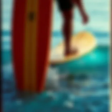 Notable Exploring the World of Foam Longboard Surfboards