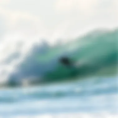 Exploring the World of Foam Longboard Surfboards Summary