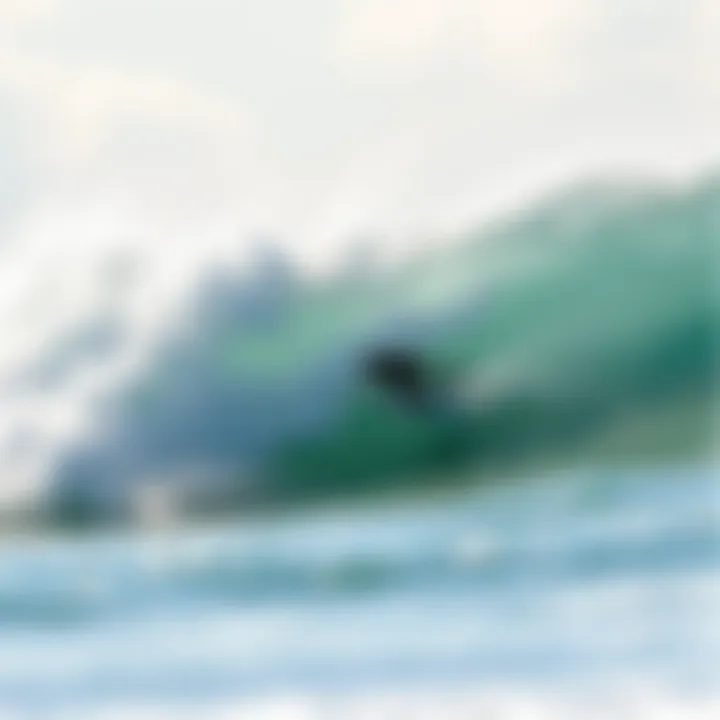 Exploring the World of Foam Longboard Surfboards Summary