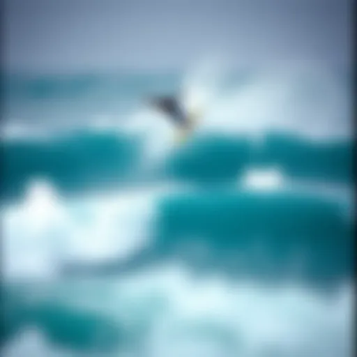 Exploring the World of Surf Photography Books Introduction