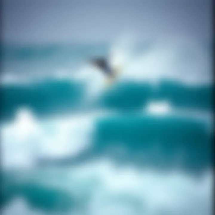 Exploring the World of Surf Photography Books Introduction