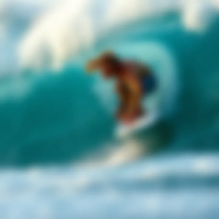 Notable Exploring the World of Surf Photography Books