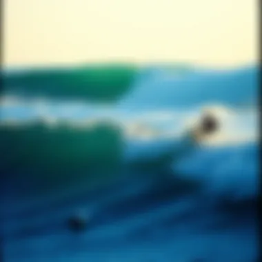 Exploring the World of Surf Photography Books Summary Exploring the World of Surf Photography Books Summary