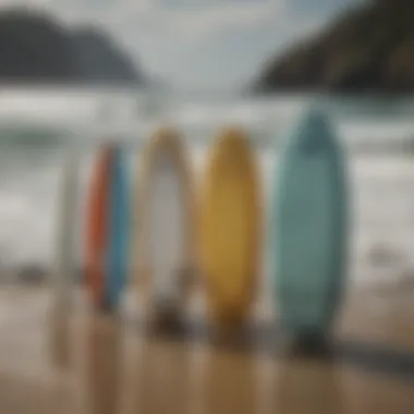 A variety of wakesurf boards laid out to showcase different materials and types.