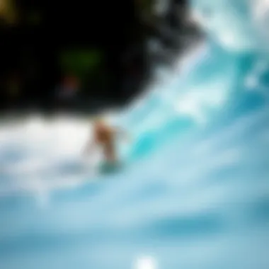 Exploring Wavegarden Florida: A Comprehensive Examination Summary Exploring Wavegarden Florida: A Comprehensive Examination Summary