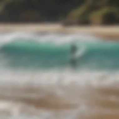 Group of surfers enjoying a vibrant beach environment