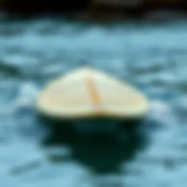 Restored Surfboard Ready for Surfing Restored fiberglass surfboard ready for use in the water