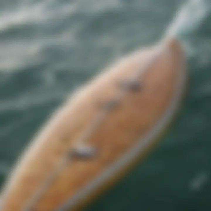 Fish surfboard highlighting its unique features