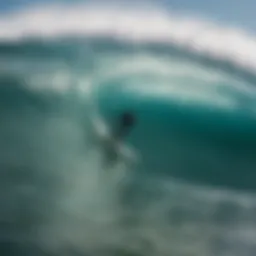 Map illustrating global wind patterns affecting surf regions