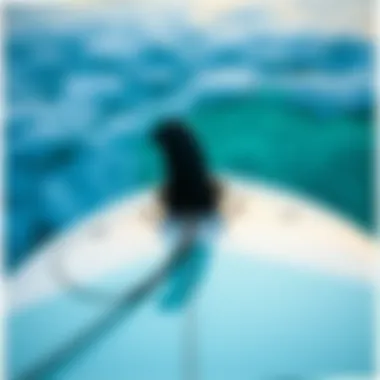 A detailed view of a greenlight surfboard showcasing its unique design elements