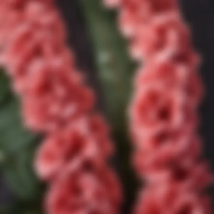 Close-up of intricate craftsmanship in a carnation lei