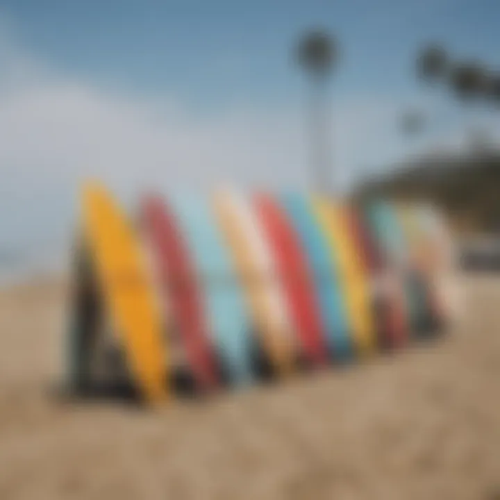 Surfboards lined up on the sandy beach ready for lessons