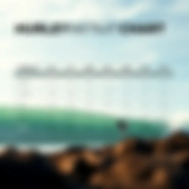 Detailed Breakdown of Hurley Wetsuit Sizing Visual representation of Hurley sizing system.