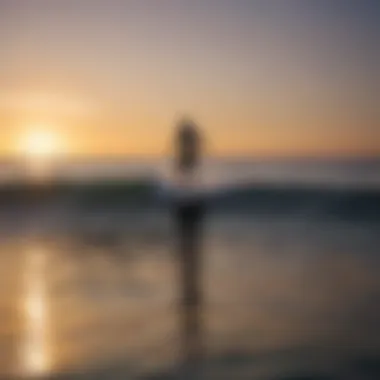 Group of surfers enjoying hydrofoil surfing at sunset