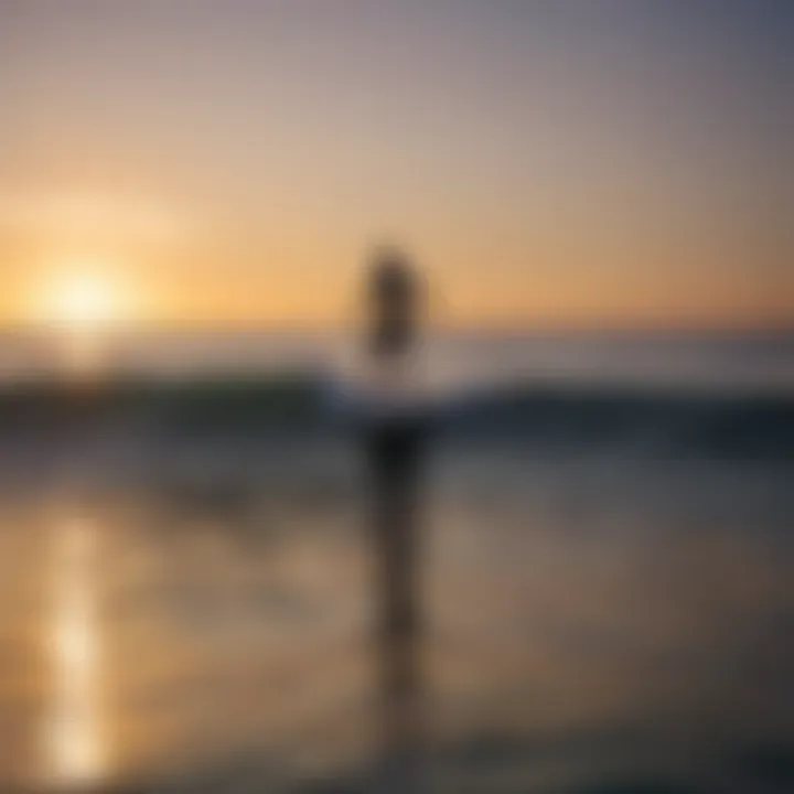 Group of surfers enjoying hydrofoil surfing at sunset