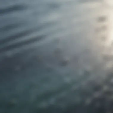 Close-up of water droplets on a surfboard