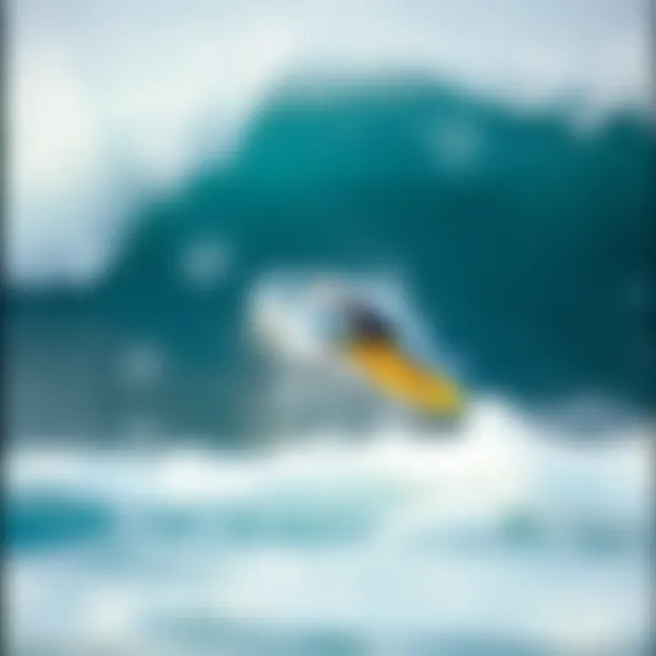 In-Depth Exploration of Longboard Surfing Summary