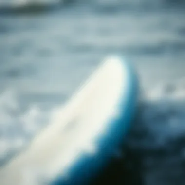 Notable In-Depth Exploration of the Wavestorm 8ft Board