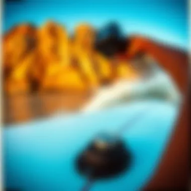 Insights into GoPro Mouth Mounts and Their Efficacy in Surfboarding Summary Insights into GoPro Mouth Mounts and Their Efficacy in Surfboarding Summary