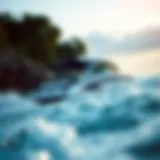 Insights into Yamaha Wakesurf Boats Introduction