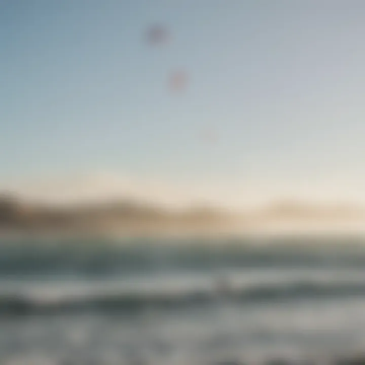 A group of kite surfers enjoying the waters of San Francisco.